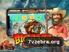 7vzebra plataforma 2